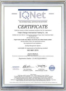ISO 9001-GOLIATH